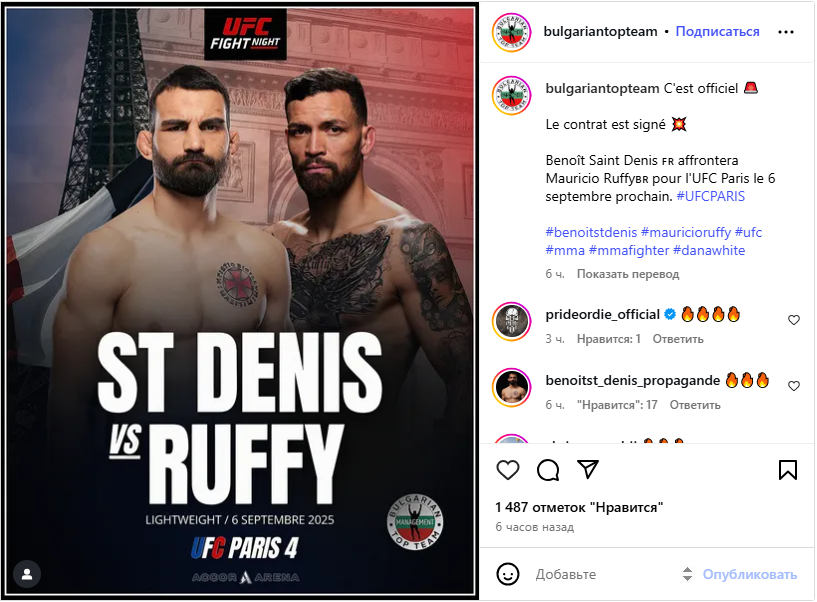 UFC Париж Руффи - Ст Дени.png